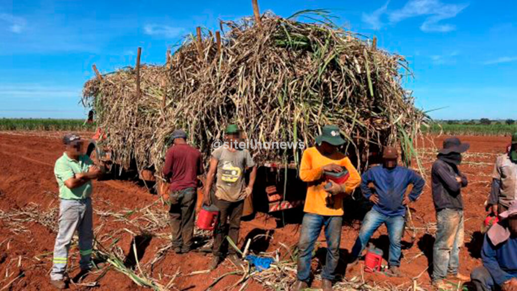 For A Tarefa Resgata Pessoas De Trabalho Escravo Em Ilha Solteira