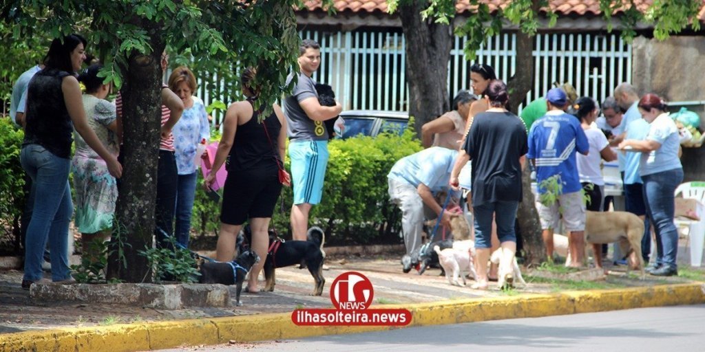 ilha-solteira-news-vacinacao-contra-raiva-antirrabica