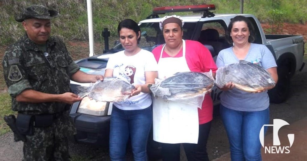 ilha-solteira-news-policia-militar-ambiental-fiscalizacao-apreensao-peixaria
