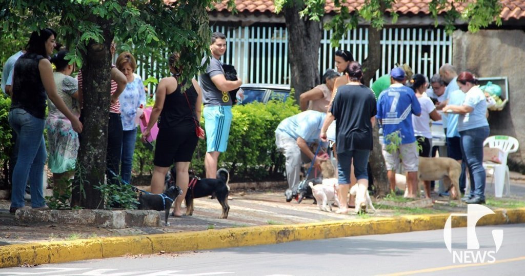 ilha-solteira-news-vacinacao-contra-raiva-animal