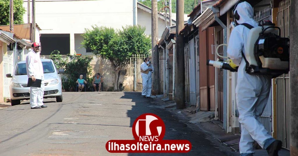 ilha-solteira-news-veneno-dengue