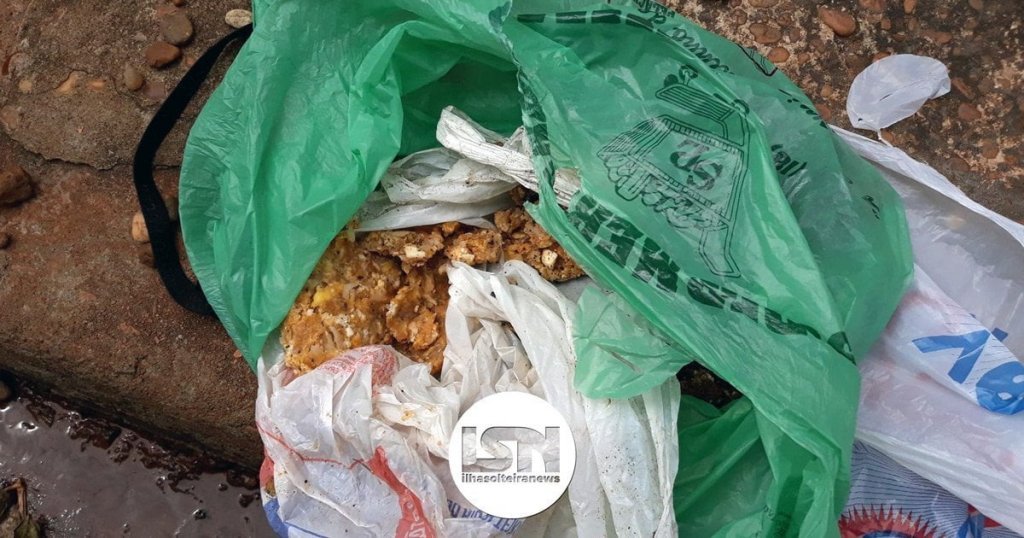 ilha-solteira-news-animais-mortos-rua-carolina-caso-policia