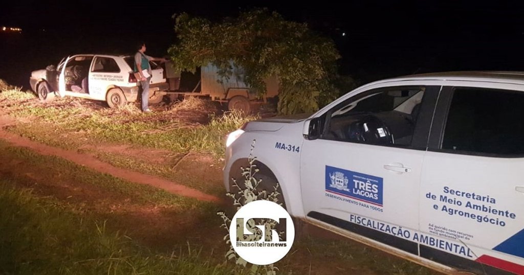ilha-solteira-news-tres-lagoas-operacao-porco-solto