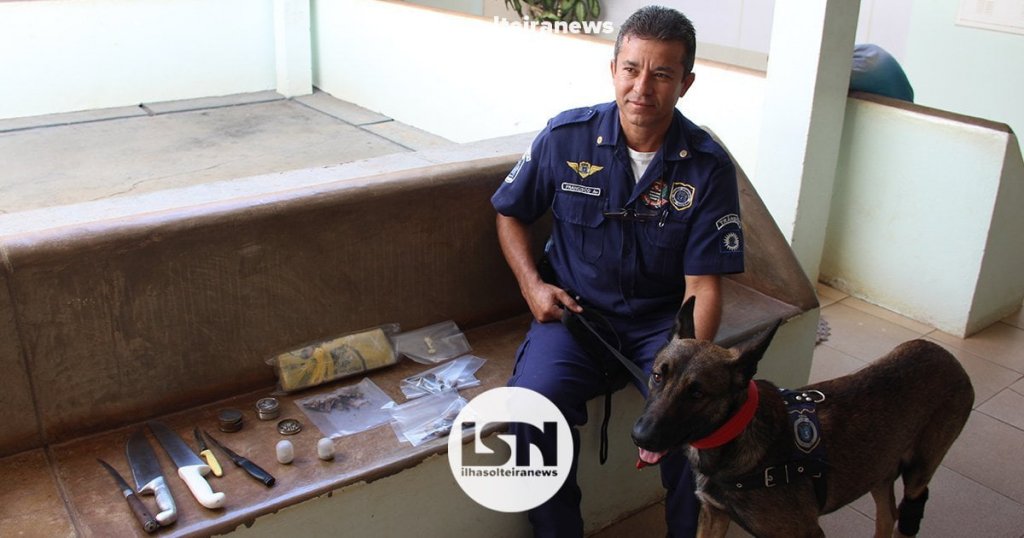 operacao-braddock-trafico-de-drogas-estupro-ilha-solteira-news