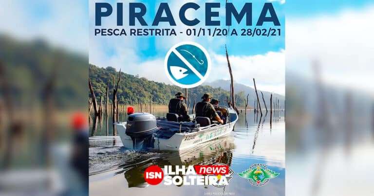 piracema-policia-militar-ambiental-rio-parana-ilha-solteira-news