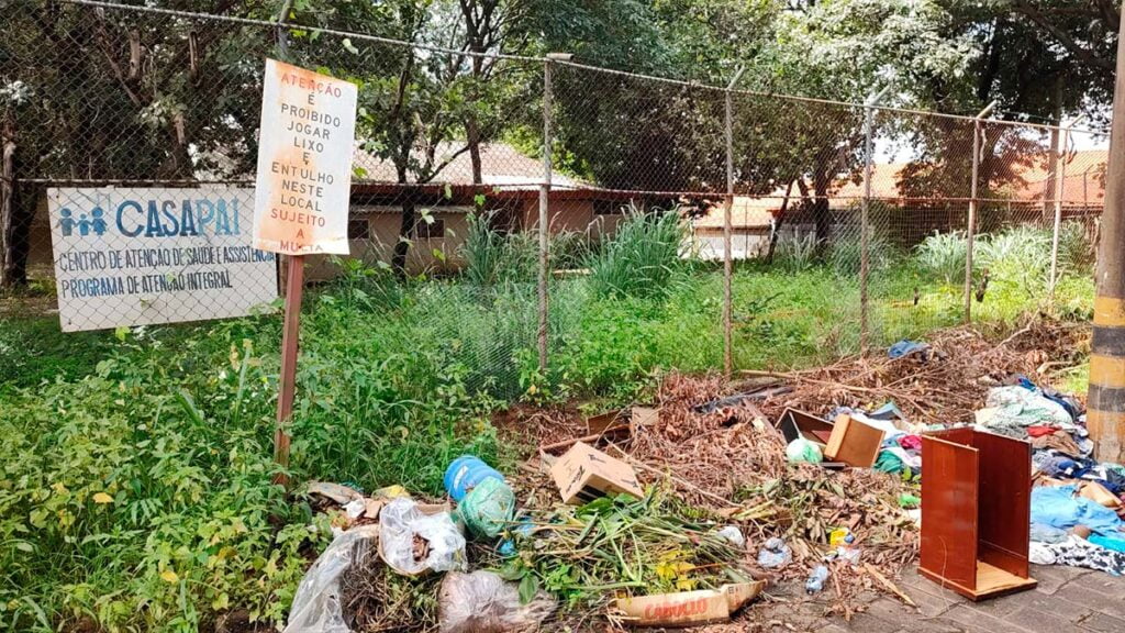 Moradora encontra cobra no sofá e reclama de mato alto na vizinhança 1 lixo entulho atisa casa pai ilha solteira news