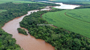 programa de restauração florestal da ctg brasil nos rios paraná e paranapanema