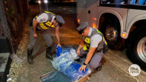 ilha-news-policia-apreende-maconha-onibus-ilha-solteira-sao-paulo