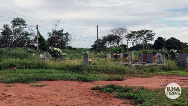 ilha-news-cemiterio-municipal-de-ilha-solteira