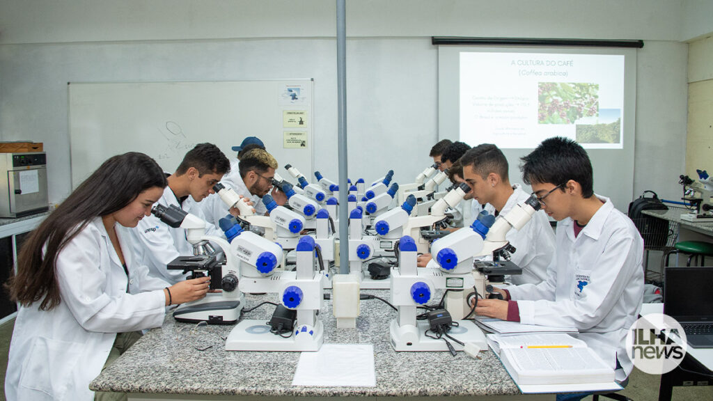 ilha news confea crea sp unesp ilha solteira