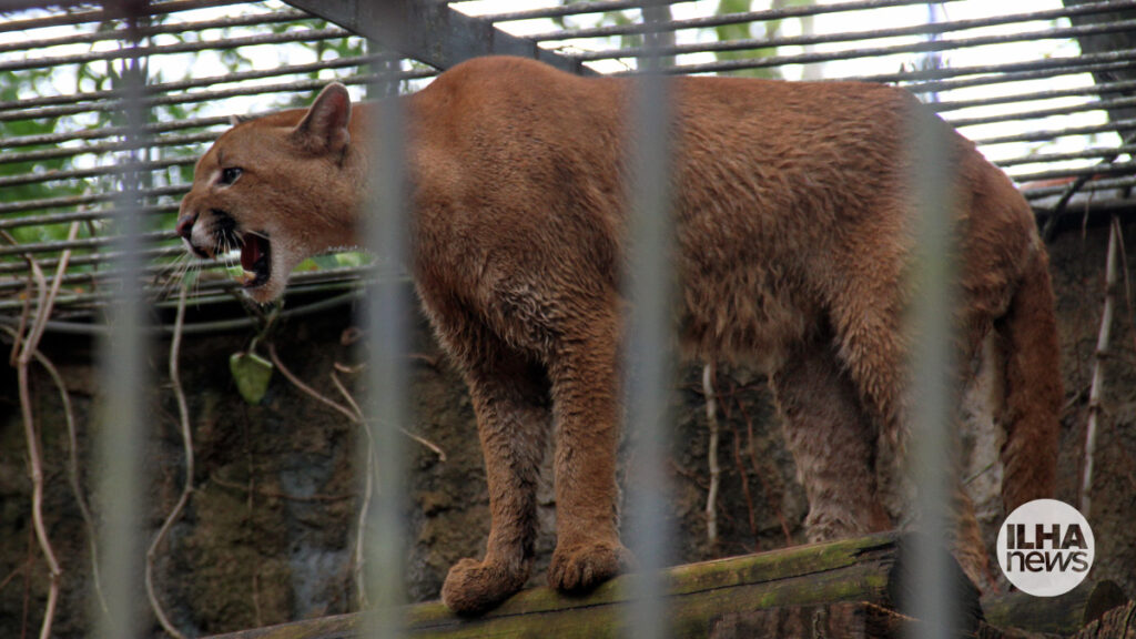 ilha-news-zoologico-de-ilha-solteira-encerra-visitacao-publica