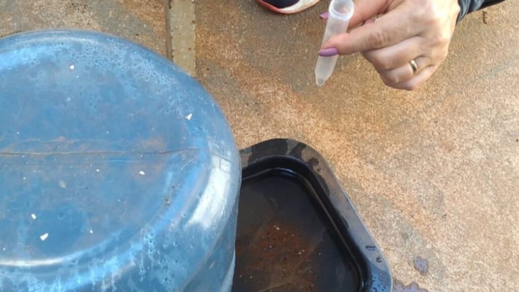 ilha-solteira-news-combate-a-dengue-2