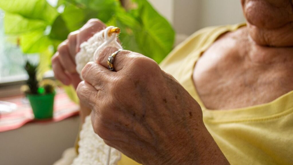 ilha-solteira-news-unati-abre-inscricoes-cursos-gratuitos-2