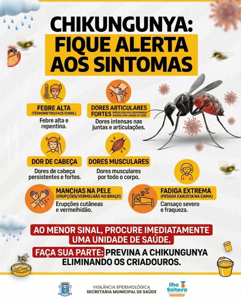 chikungunya ilha solteira