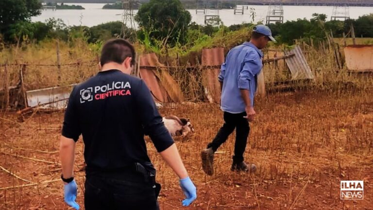 ilha-solteira-news-ataque-carneiros-rocinhas-familiares