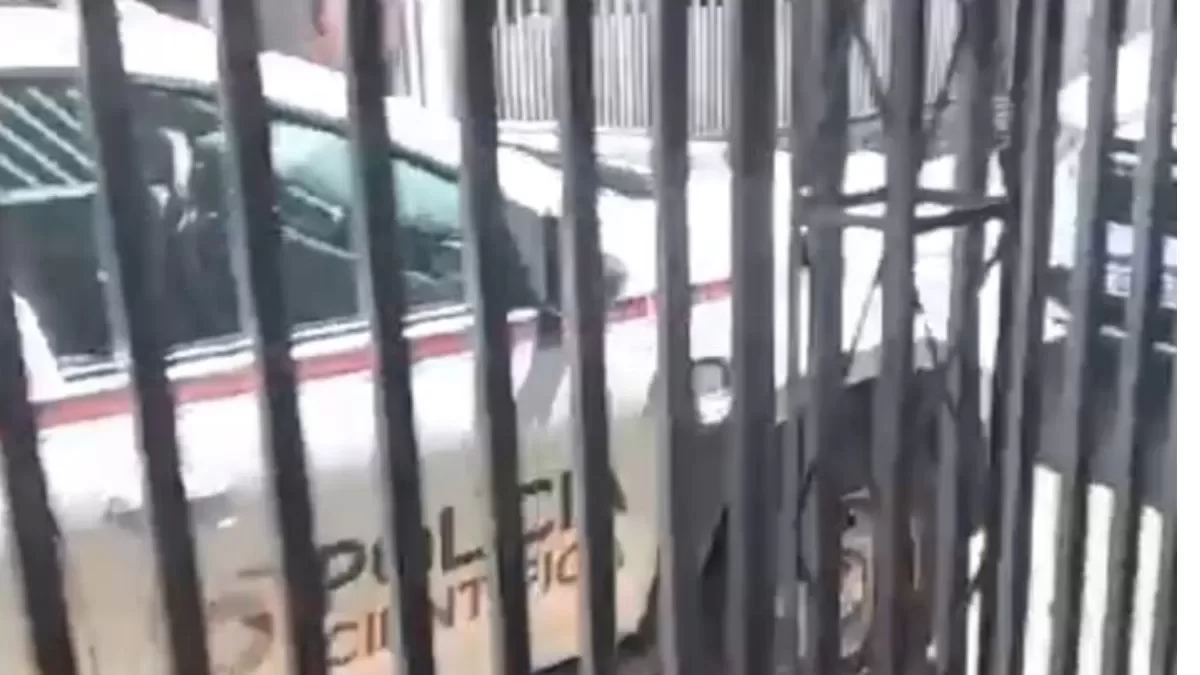 Design sem nome_20230917_155154_0000