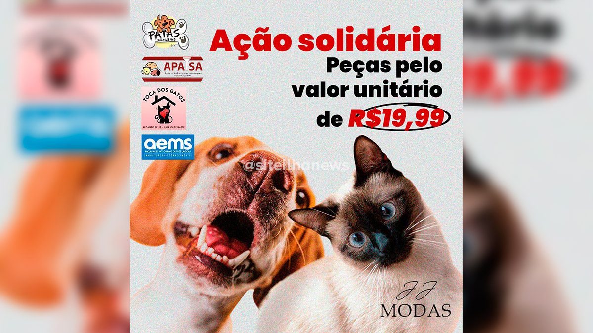 ação solidária jj modas em prol dos abrigos de animais