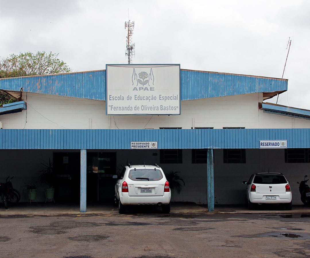 apae ilha solteira