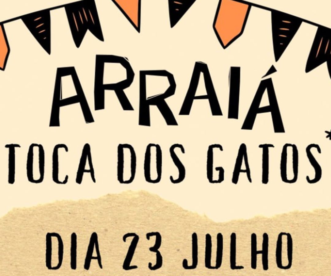arraia-toca-dos-gatos-ilha-solteira-news