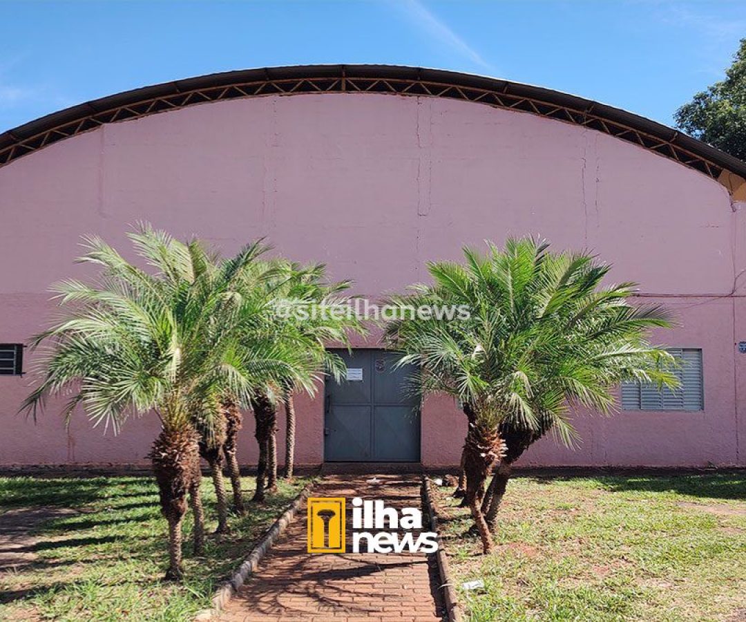bazar-beneficente-toca-dos-gatos-ilha-solteira-news