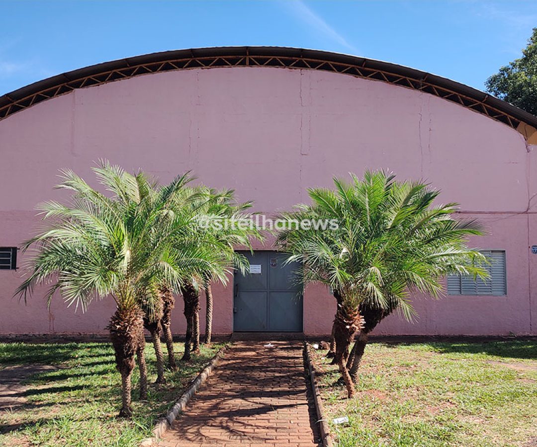 bazar beneficente toca dos gatos ilha solteira