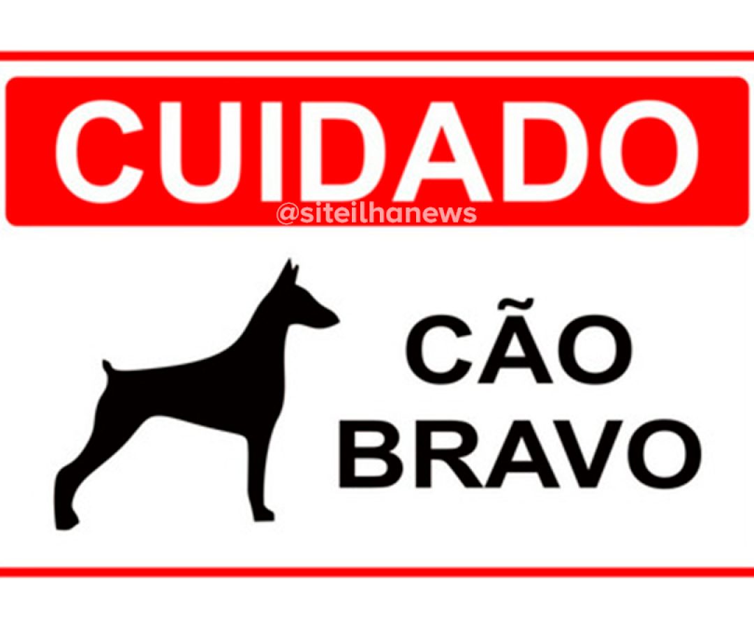boletim-de-ocorrencia-cao-bravo-ilha-solteira boletim de ocorrência cão bravo em ilha solteira