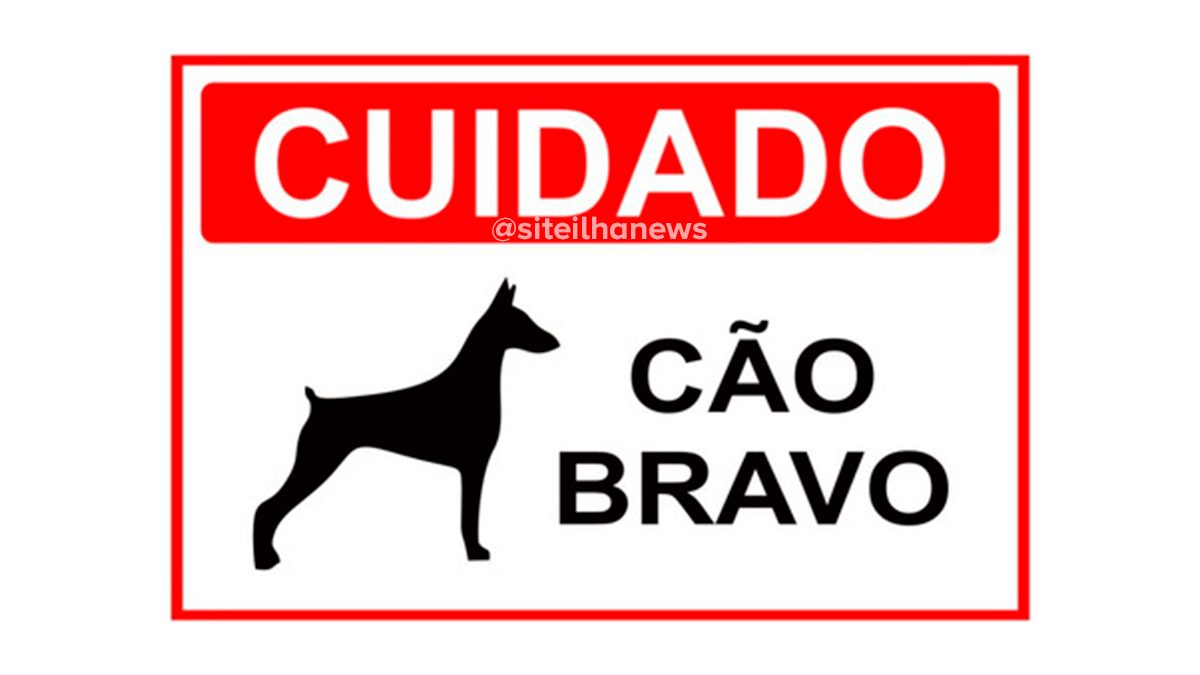 boletim de ocorrência cão bravo em ilha solteira