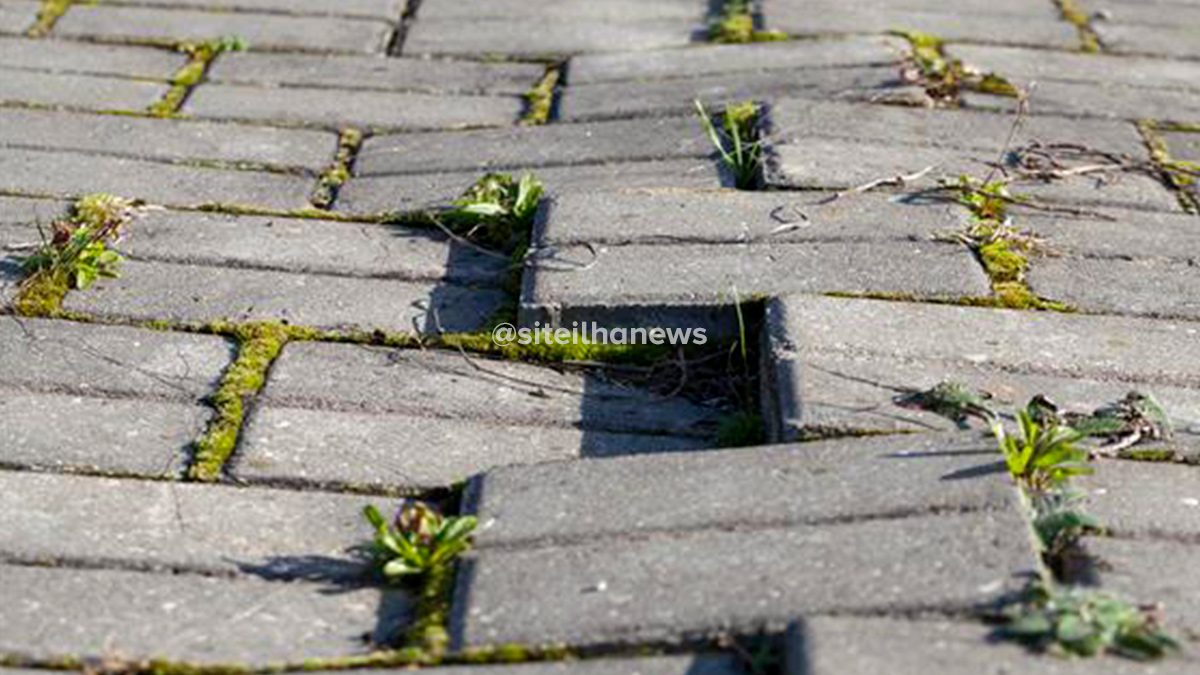calcada-esburacada-tjsp-decide-ilha-solteira-news