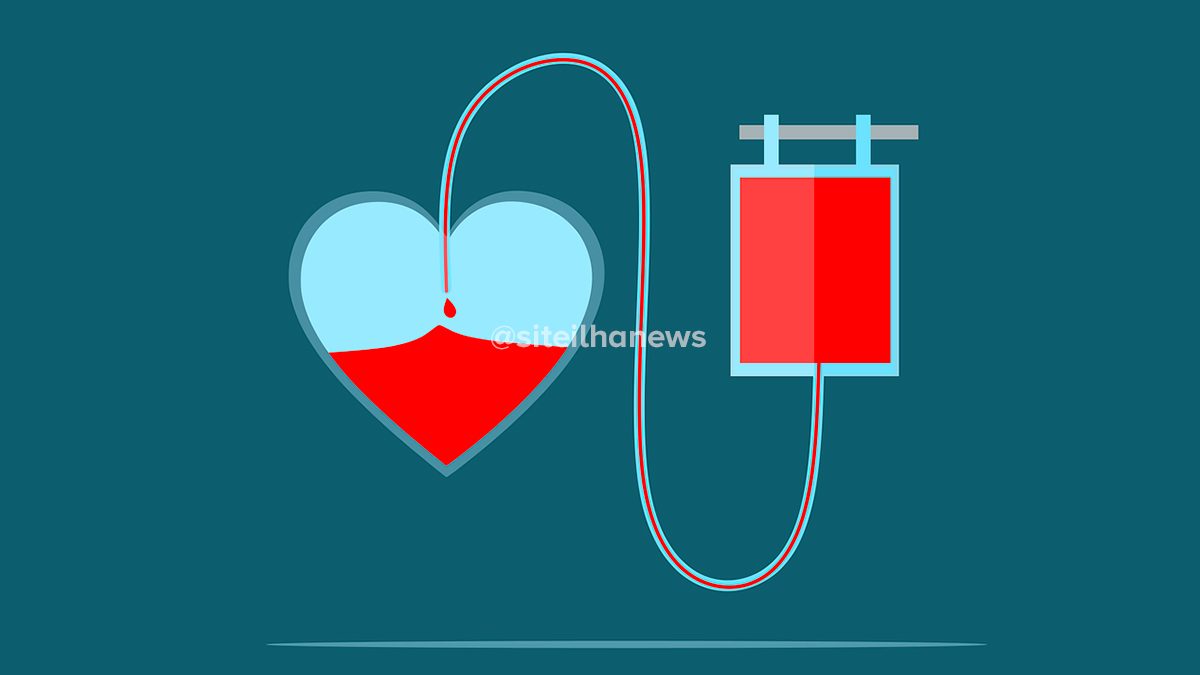 campanha doação de sangue ilha solteira