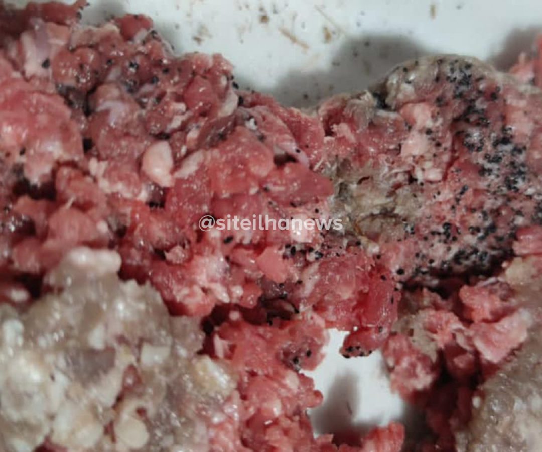 carne envenenada para gatos em ilha solteira