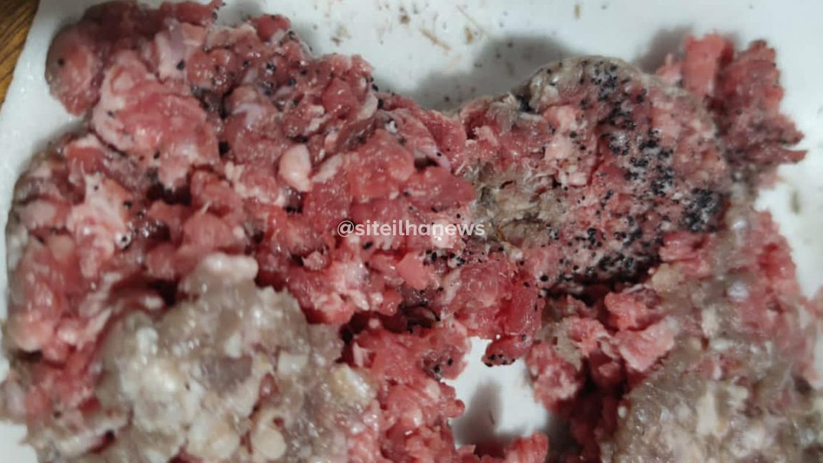 carne envenenada para gatos em ilha solteira