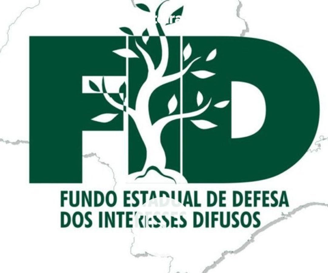 complexo-de-assistencia-social-fid-ilha-solteira-news