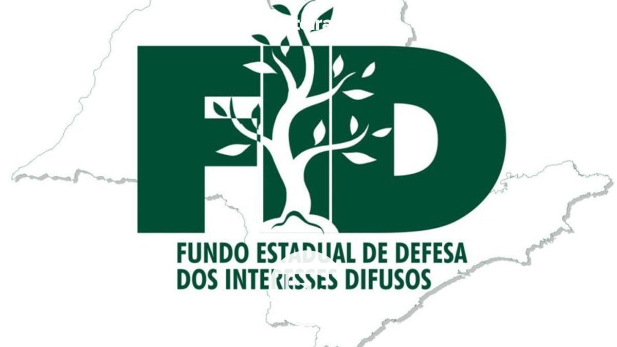 complexo-de-assistencia-social-fid-ilha-solteira-news