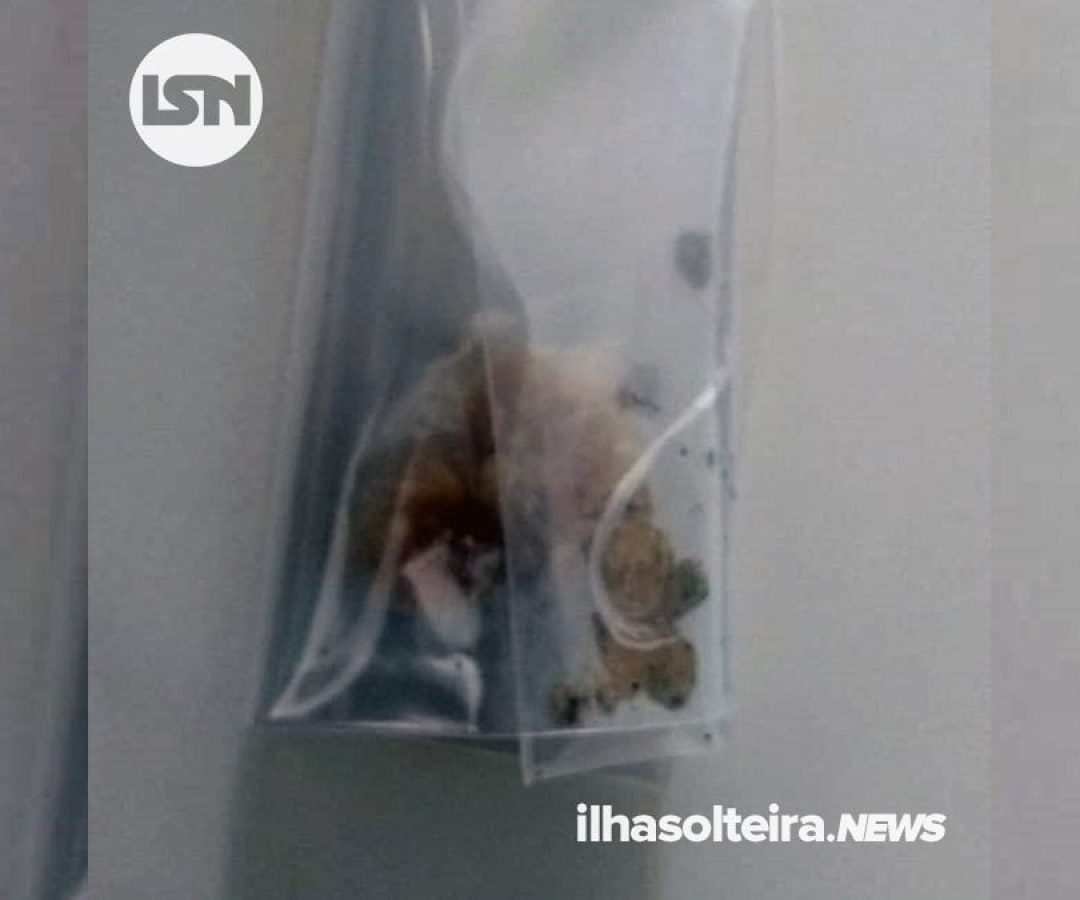 crack-passeio-cabo-ilha-solteira-news
