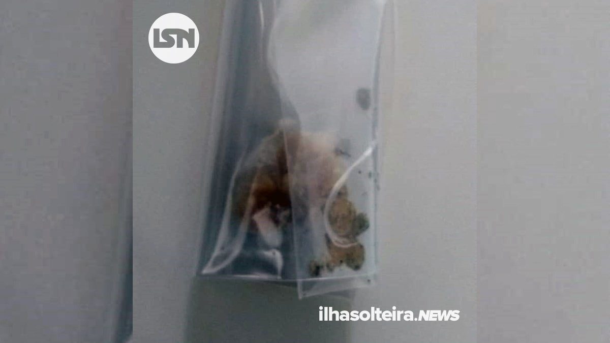 crack-passeio-cabo-ilha-solteira-news