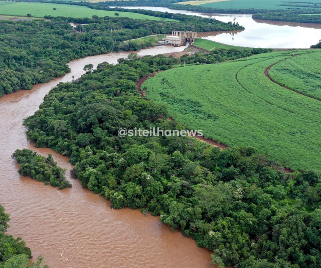 programa de restauração florestal da ctg brasil nos rios paraná e paranapanema