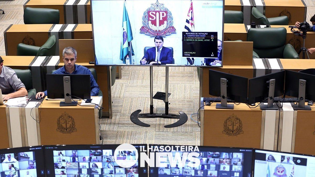 deputados-contam-salarios-covid-19-ilha-solteira-news