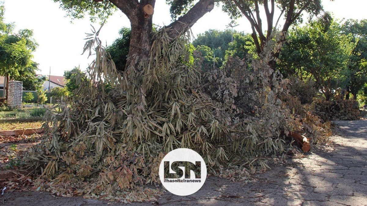 descaso-praca-das-nacoes-ilha-solteira-news