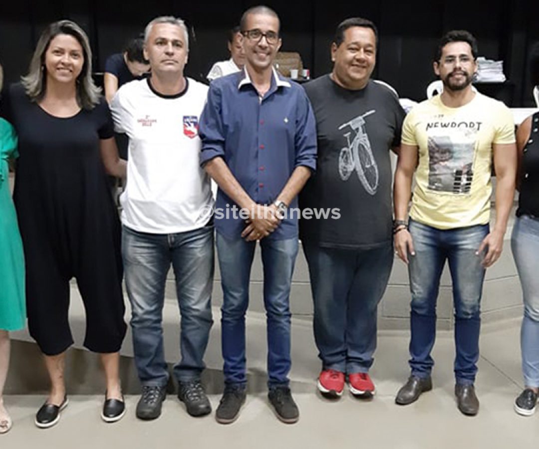 eleição conselho tutelar ilha solteira