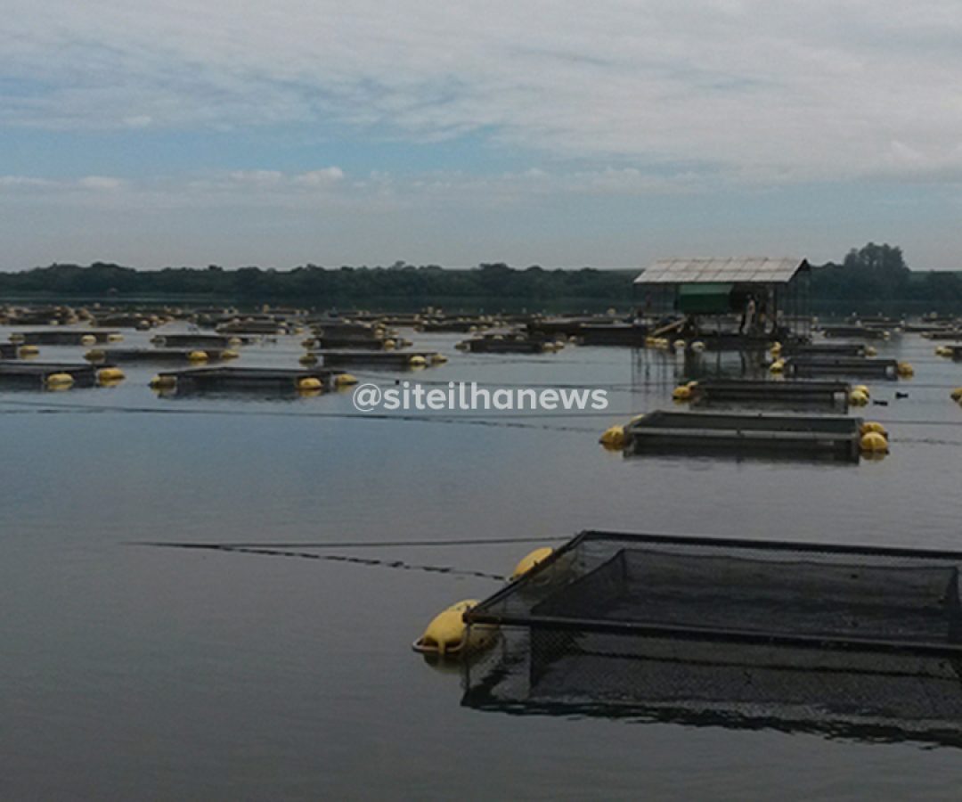 emissão metano produção tilápias tanques rede embrapa reservatório ilha solteira