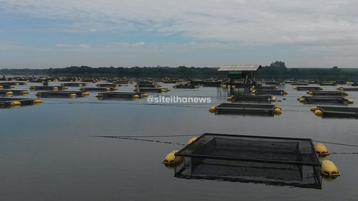 emissão metano produção tilápias tanques rede embrapa reservatório ilha solteira