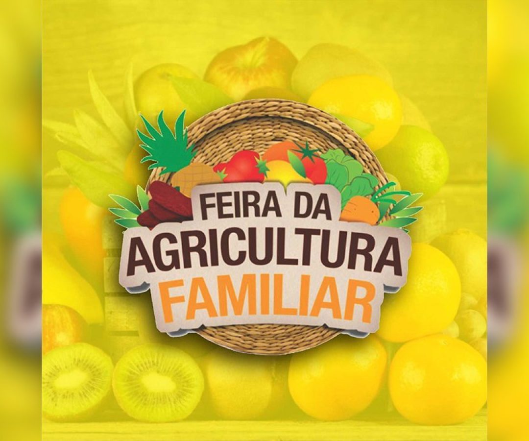 feira-livre-noturna-agricultura-familiar-ilha-solteira-ilhanews