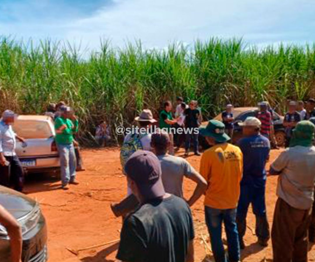 força-tarefa resgata trabalhadores da escravidão em ilha solteira