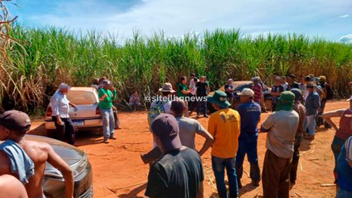 força-tarefa resgata trabalhadores da escravidão em ilha solteira