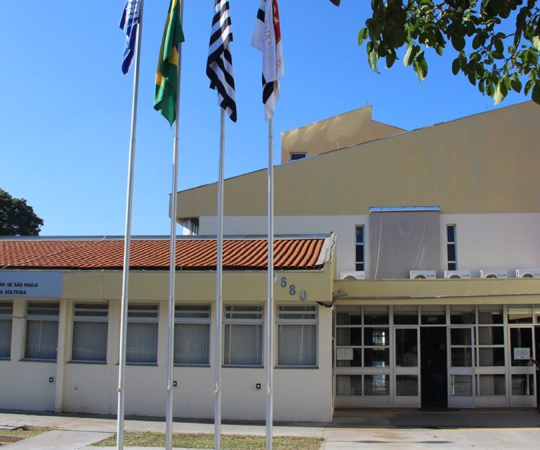 forum-ilha-solteira-news