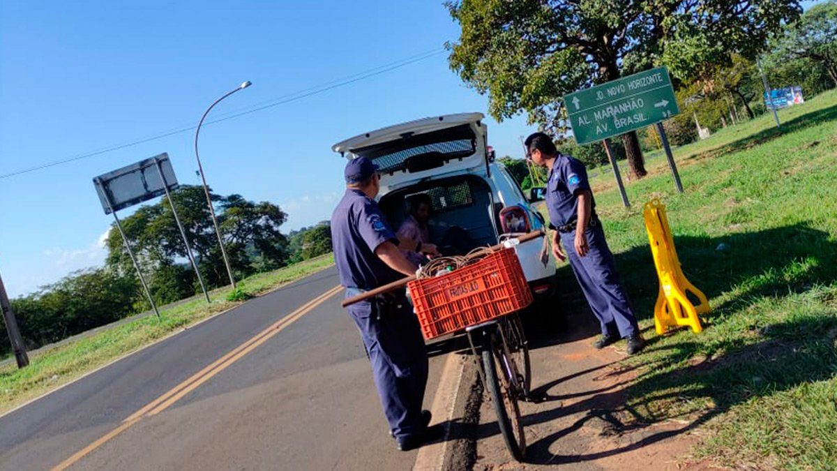 guarda-municipal-prende-furto-fios-cobre-ilha-solteira-news