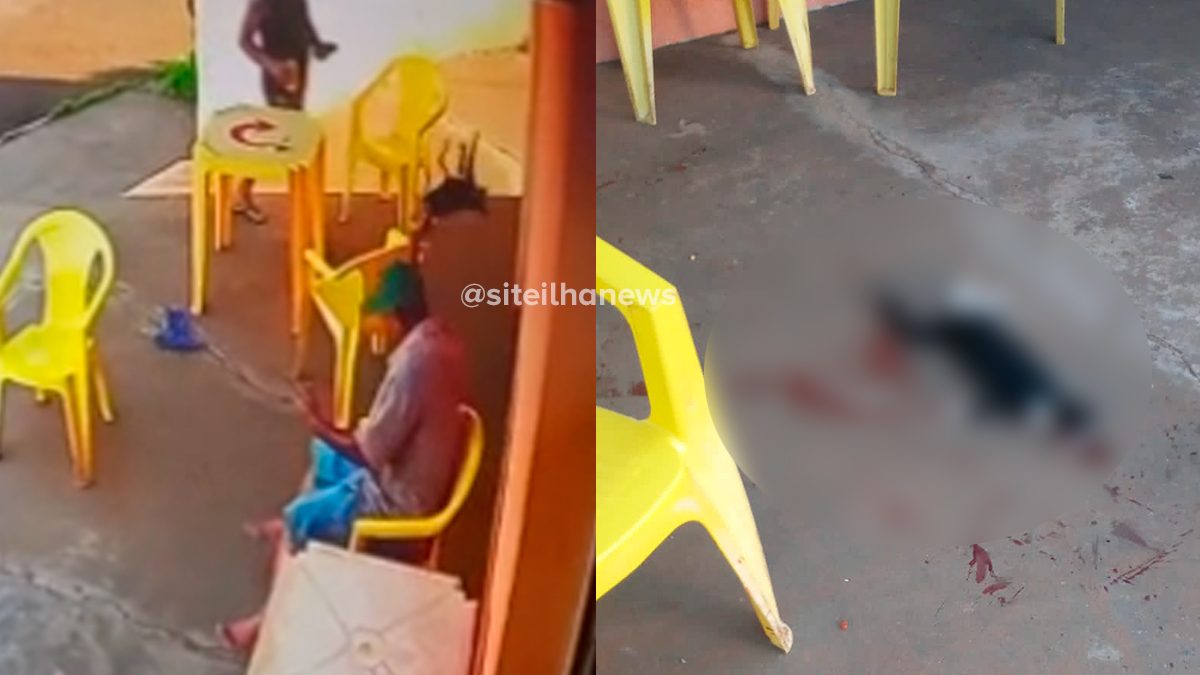 homem-mata-gato-pereira-barreto-delegacia-ilha-solteira-news