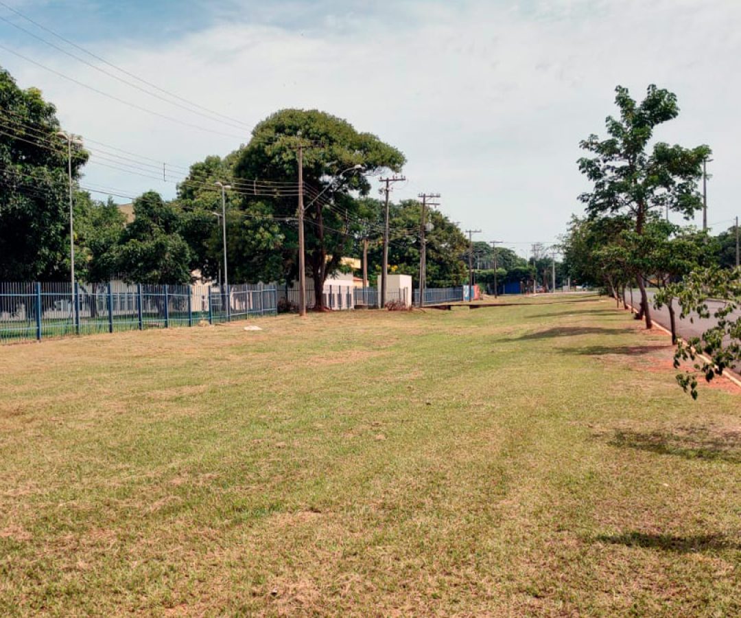 ilha-news-calcadao-food-park-area-de-seguranca-forum-de-ilha-solteira