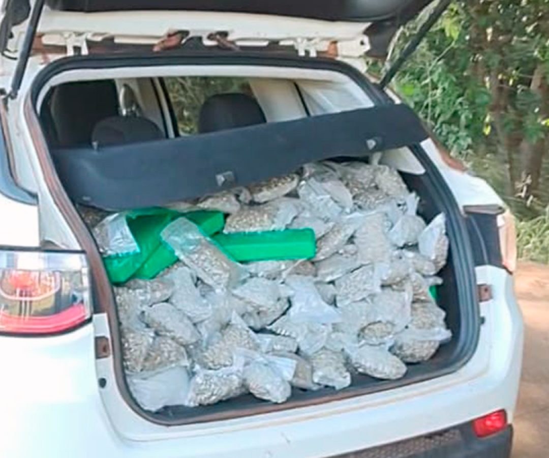 ilha-news-carro-lotado-maconha-skunk-prf-ilha-solteira