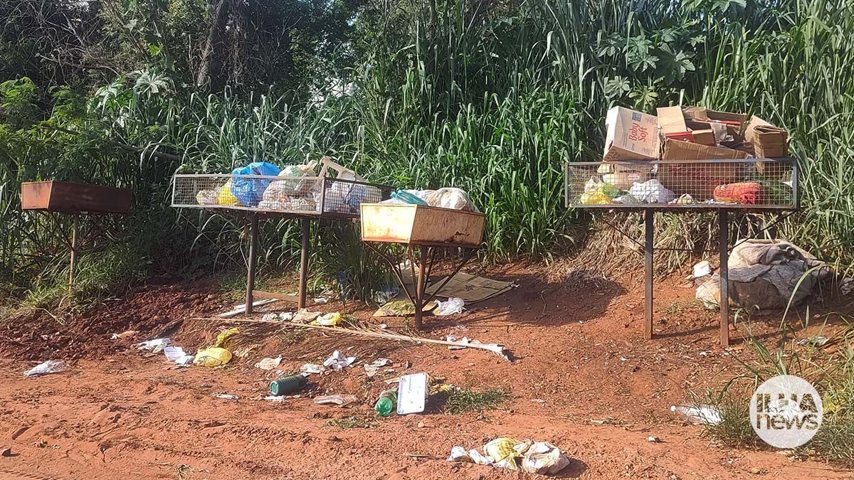 ilha-news-coleta-de-lixo-cinturao-verde-ilha-solteira